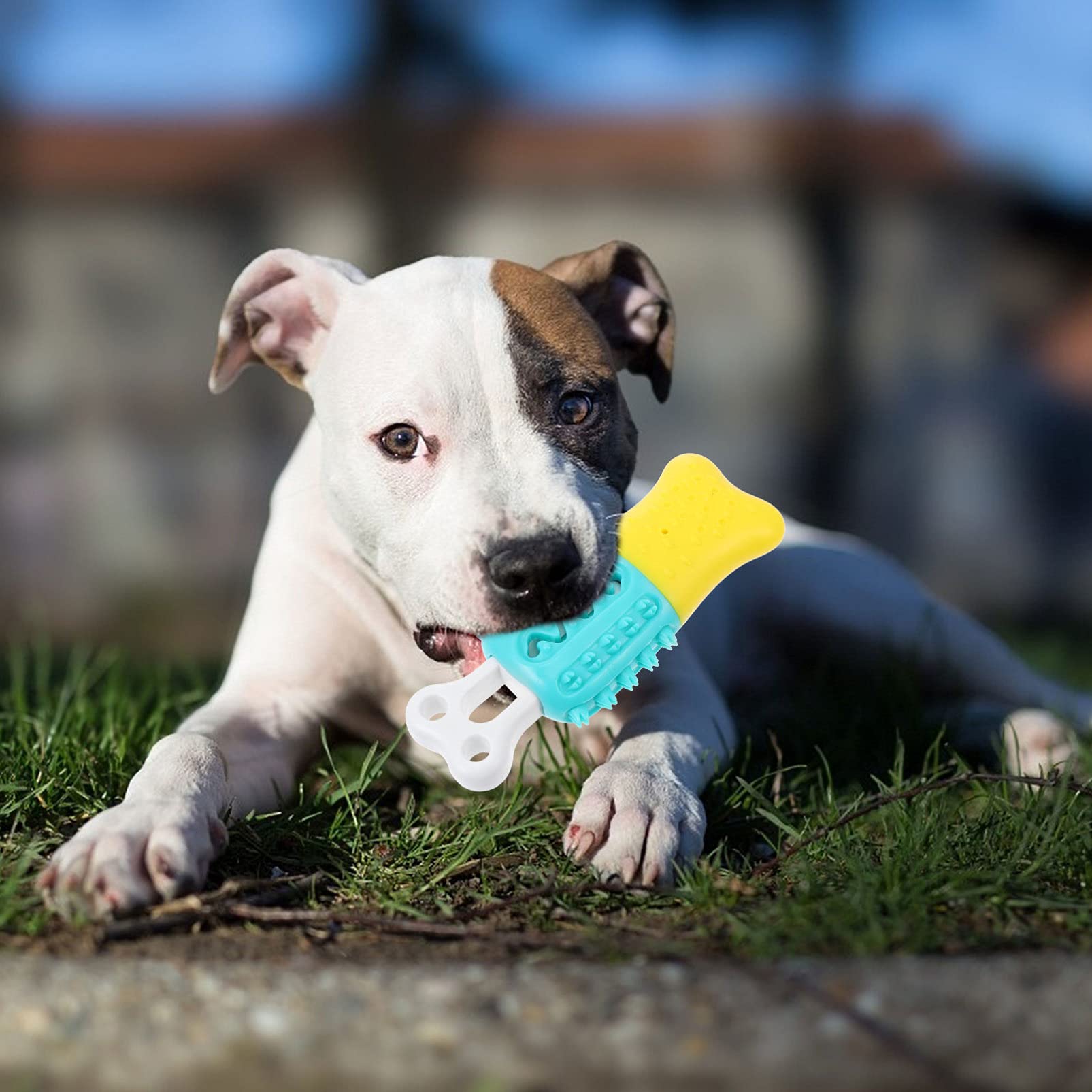 Hemobllo 1pc Puppy Chew Toy - Durable TPR Dog Teeth Cleaning & Grinding Toy for Small Dogs | Dog Toothbrush & Food Feeder | Perfect for Teething, Dental Care & Playtime