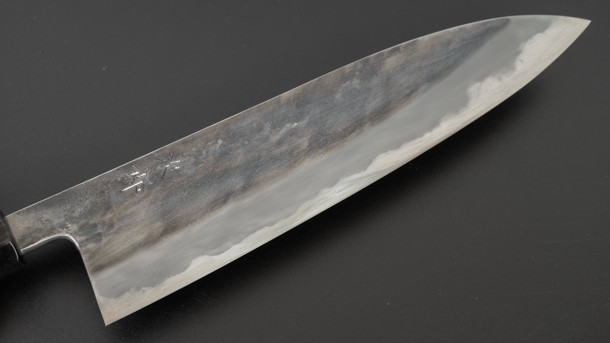 Premium Jiro Tsuchime Wa Gyuto 240mm Japanese Chef Knife with Taihei Tagayasan Handle - Perfect for Sushi, Meat Slicing & Professional Kitchen Use