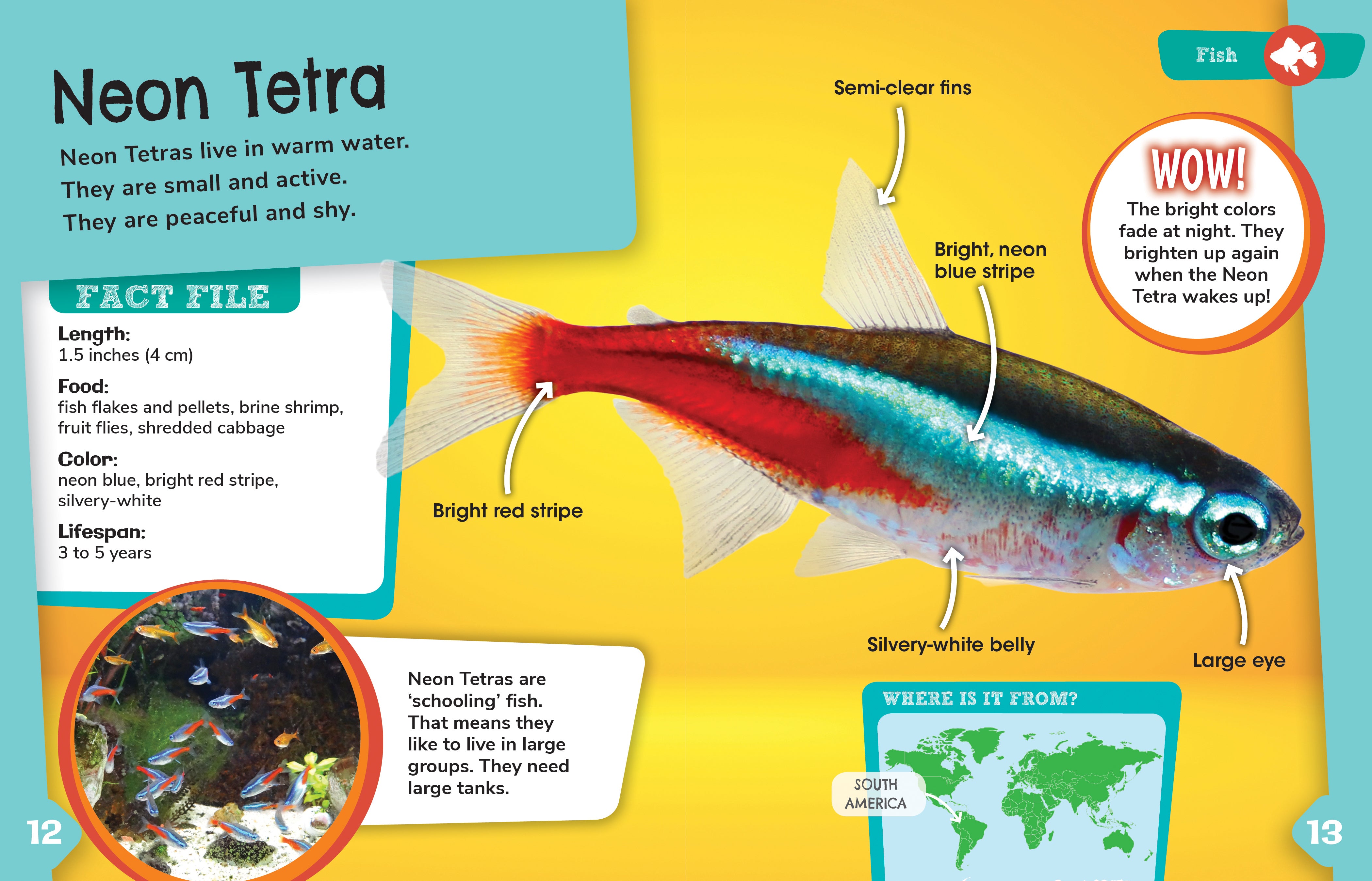 Fish Pet Detectives - Fun and Interactive Aquarium Game for Kids | Perfect for Family Game Night & Educational Play