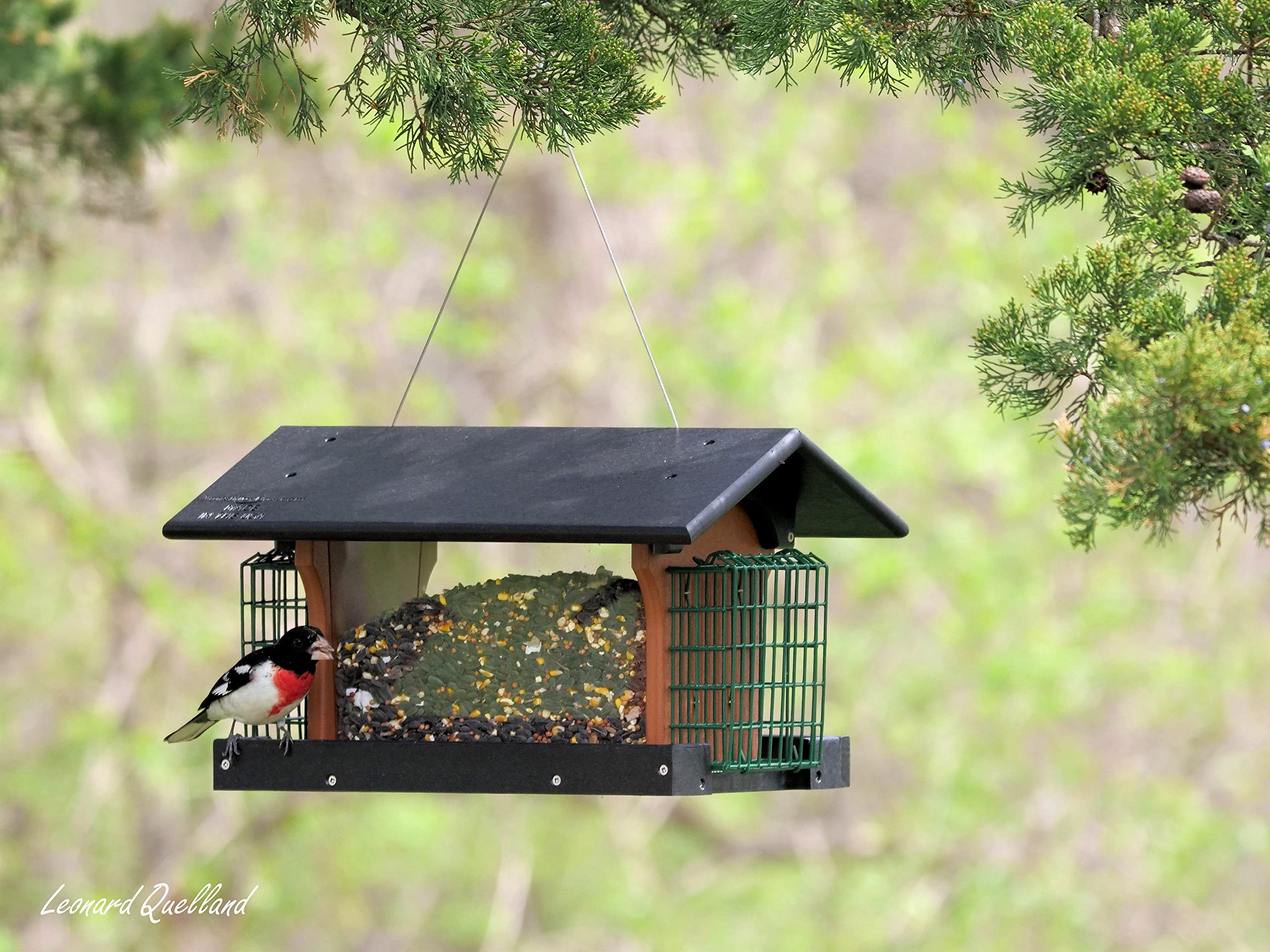 Premium Eco-Friendly Poly Lumber Deluxe Bird Feeder with Suet Holders - Durable Gray/Cherry Wood Design for Backyard Bird Watching & Wildlife Attraction | Perfect for Garden, Patio & Nature Lovers