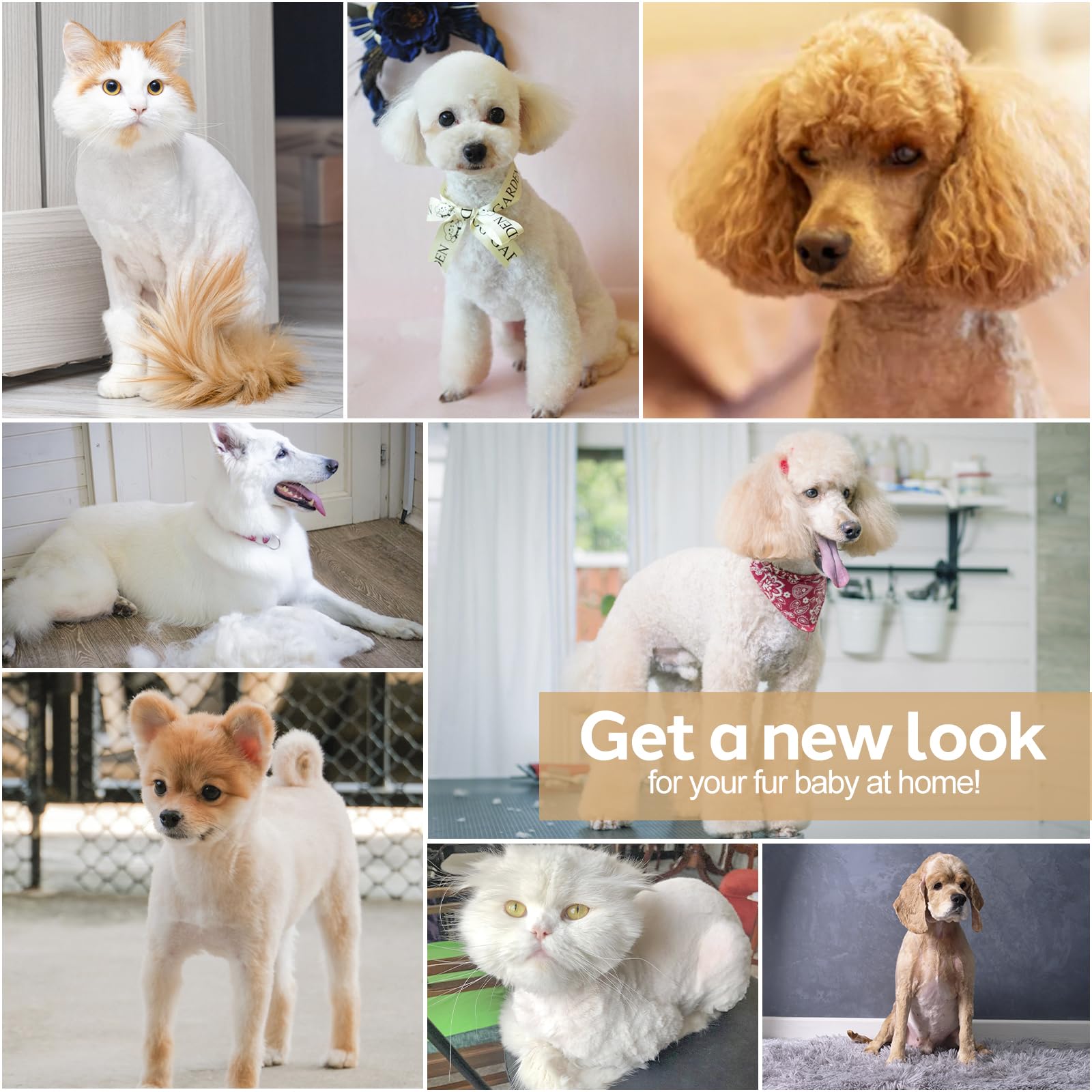 Professional 4-in-1 Cordless Dog Grooming Kit with Low Noise USB Clippers & Nail Grinder - Electric Pet Hair Trimmer for Dogs & Cats - Perfect for Paws, Eyes, Ears, Face & Matted Hair Care at Home