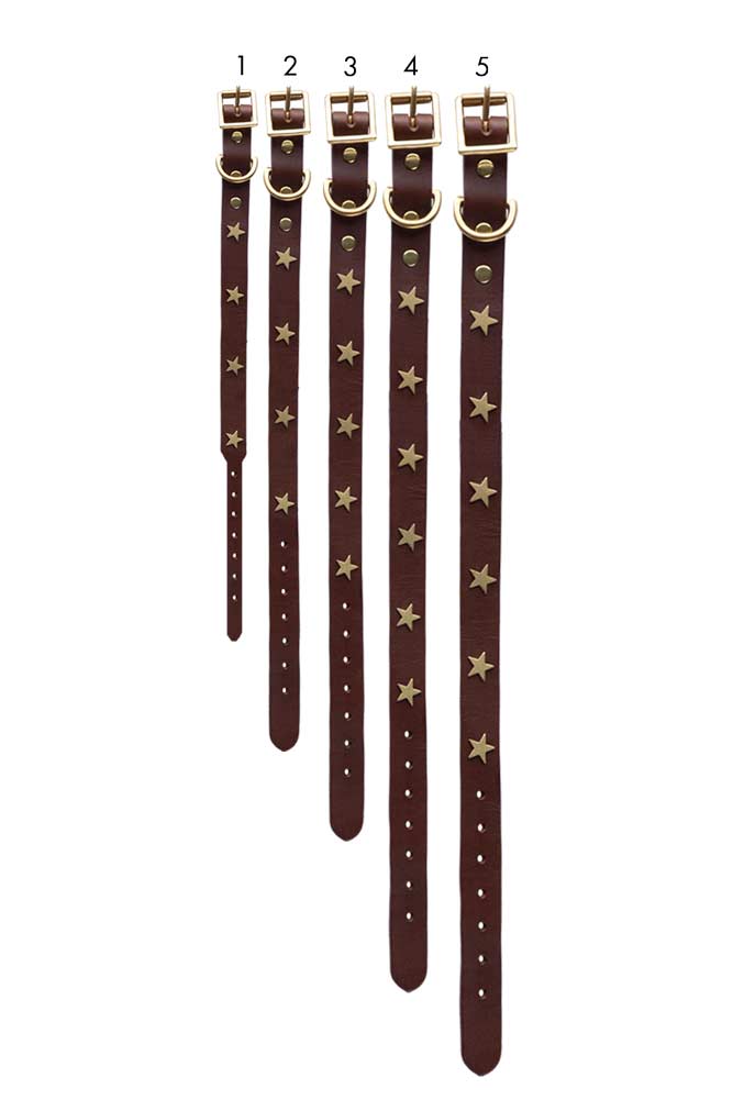 Premium Brown Leather Dog Collar with Star Decor - Adjustable Sizes (XS to XL) for Small, Medium & Large Dogs - Perfect for Daily Walks, Training & Fashion Accessories