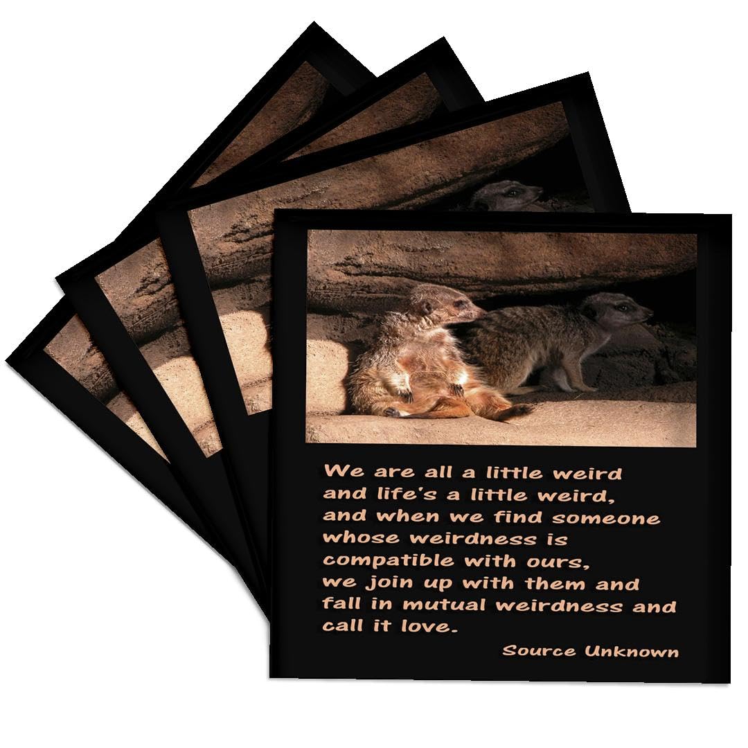 3dRose Meerkats 'We Are a Little Weird' Ceramic Tile Coasters - Set of 4 | Unique Animal-Themed Drink Coasters for Home, Office, or Gifts
