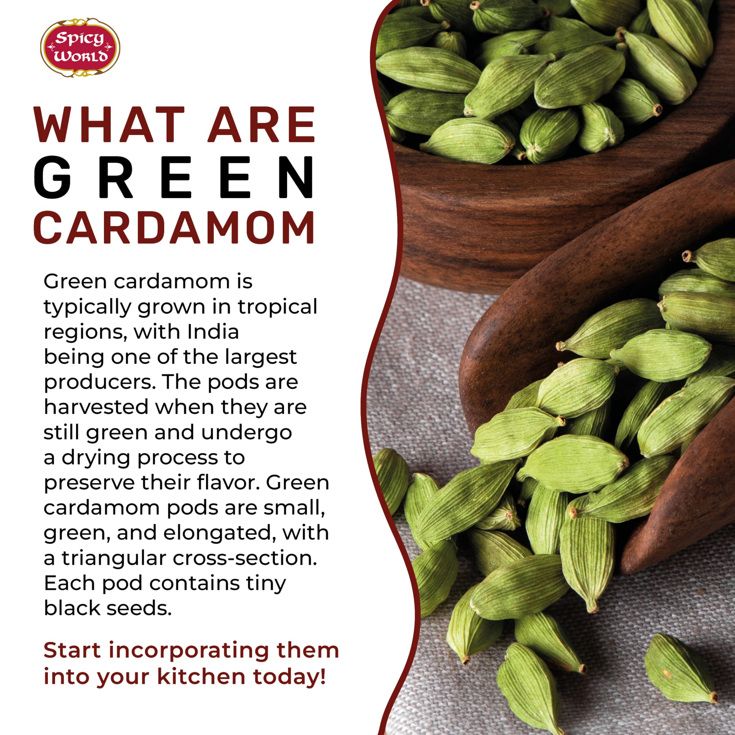 Premium Whole Green Cardamom Pods 7oz (200g) - Organic, Vegan, Aromatic Spice for Baking, Tea & Indian Cooking - Fresh Large Cardamom Seeds by Spicy World
