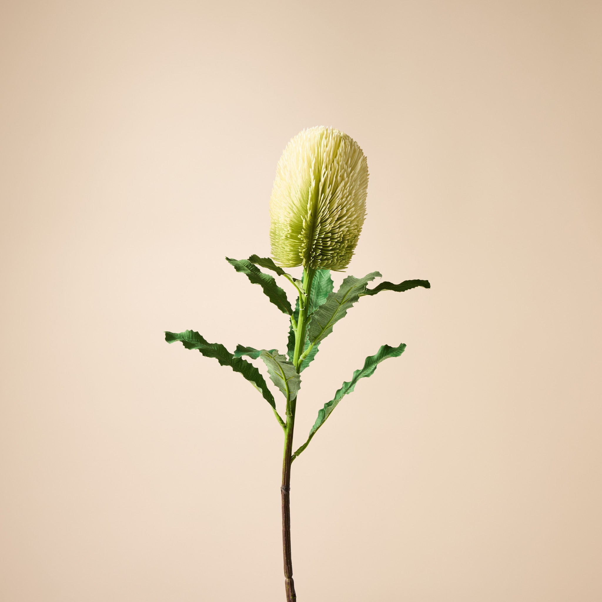 65cm White Faux Banksia Stem - Artificial Flower for Home Decor, Wedding Centerpieces, and Floral Arrangements