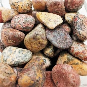 Leopardskin Jasper Tumbled Pocket Stone - Natural Healing Crystal for Stress Relief & Meditation | Perfect for Reiki, Chakra Balancing & Carry-On Good Luck Charm