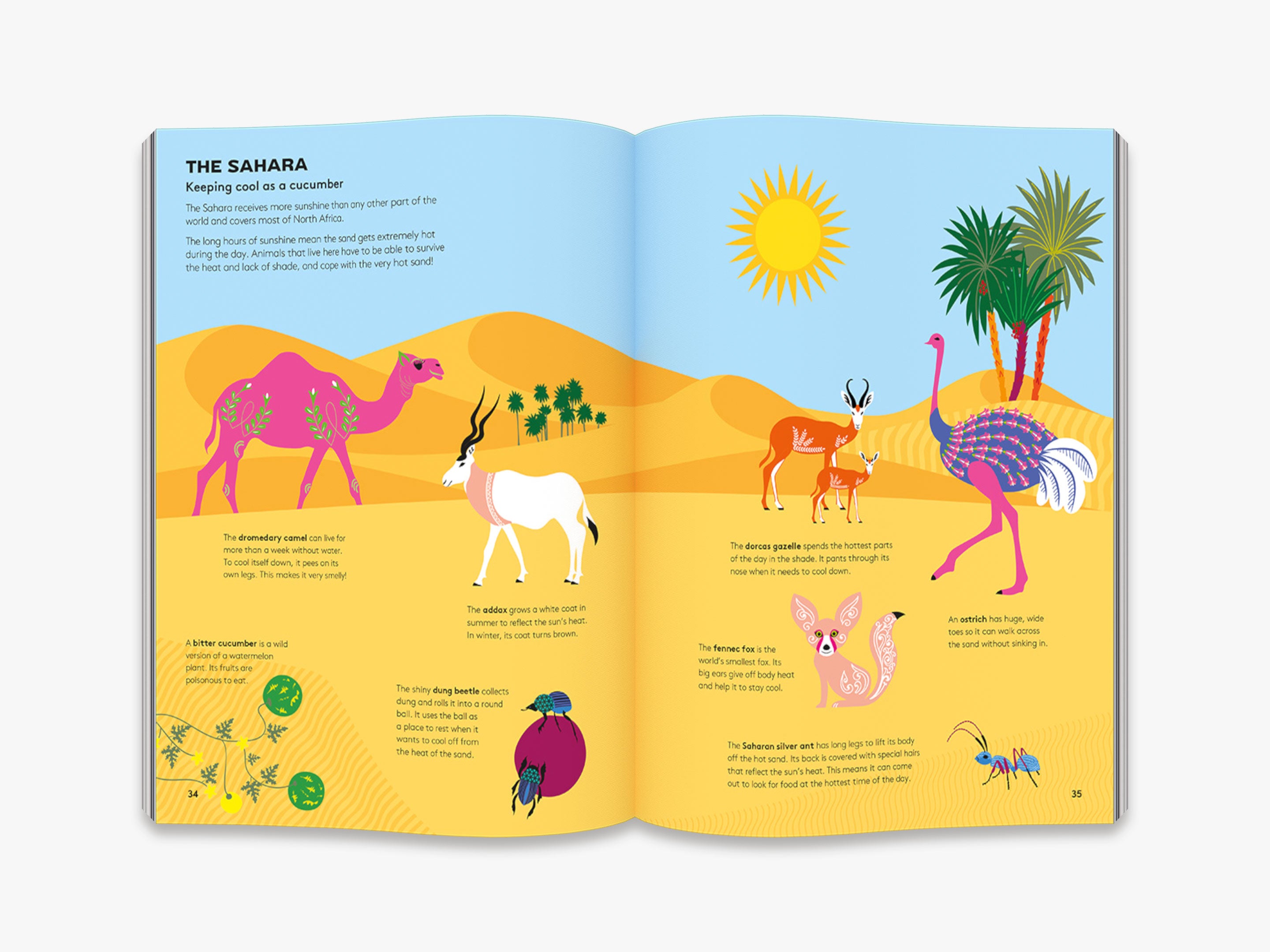 Hoot and Howl Across the Desert - Extreme Environments Book for Kids | Desert Wildlife & Survival Adventure | Perfect for Classroom Learning & Nature Exploration
