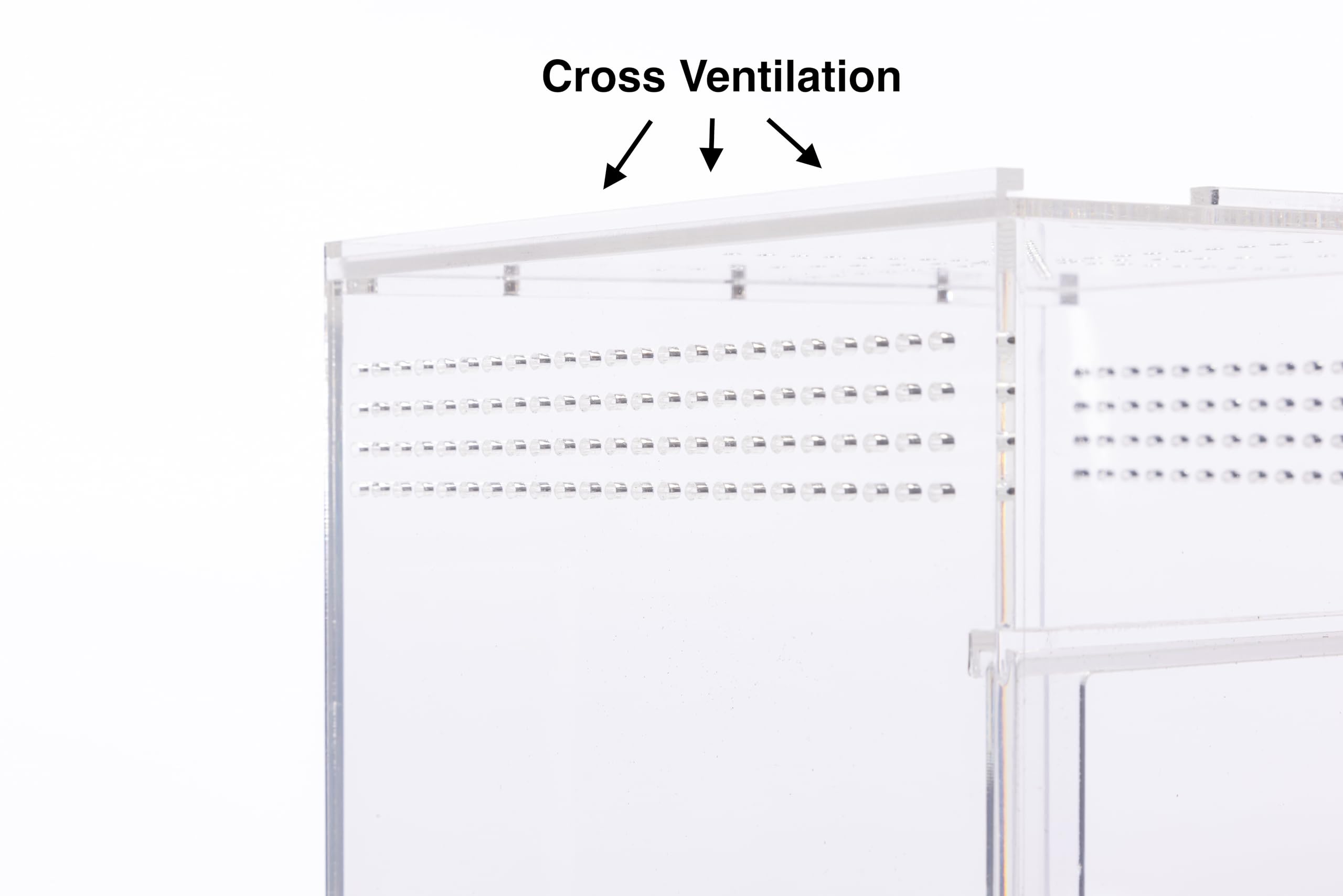 Premium Jumping Spider Enclosure Kit - Glass Spider Terrarium with Ventilation | Ideal Habitat for Pet Jumping Spiders, Tarantulas & Insects | Perfect for Home, Classroom or Office Display
