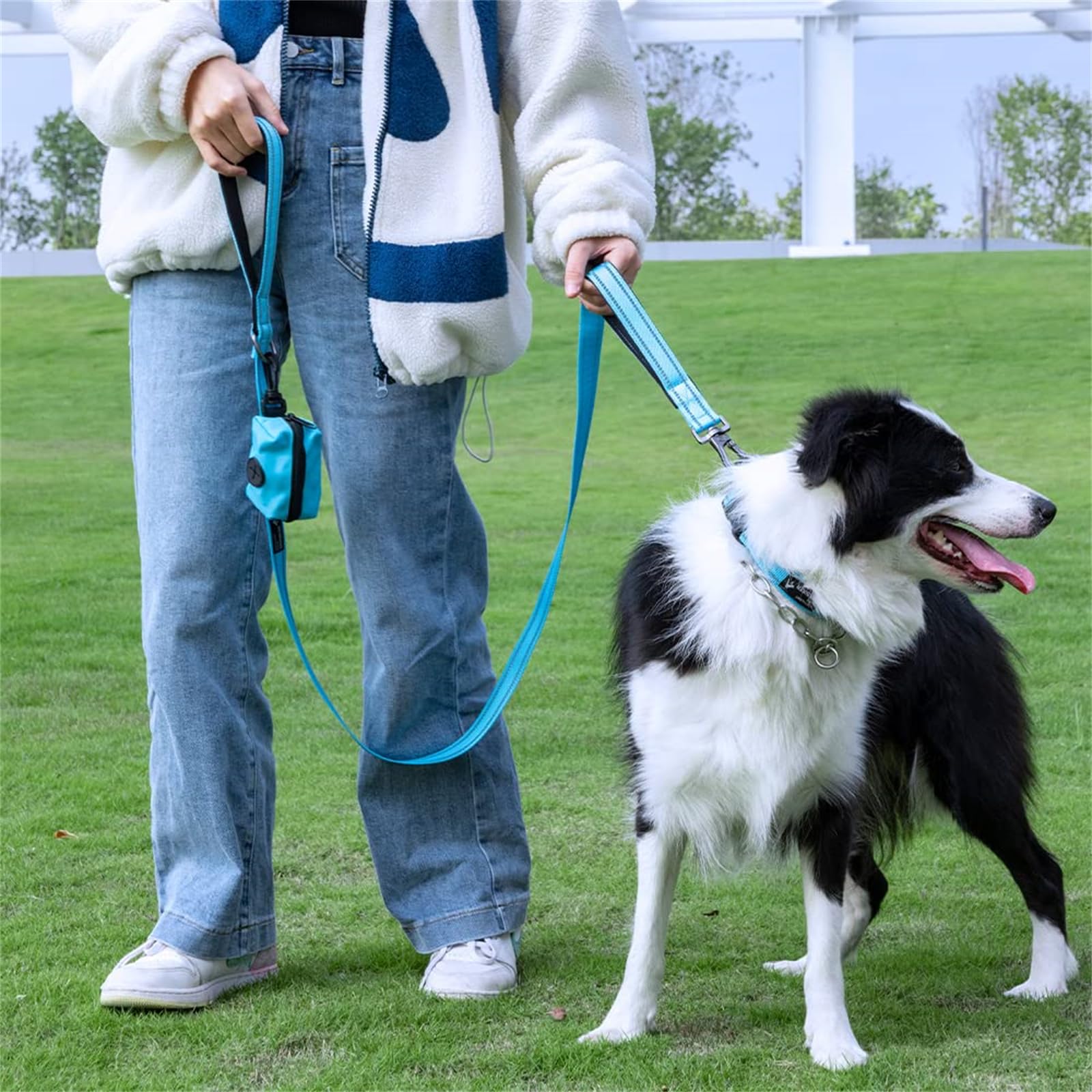 Premium Heavy-Duty Nylon Dog Training Leash - 5ft Strong & Durable Pet Lead with Poop Bag Holder - 3/4