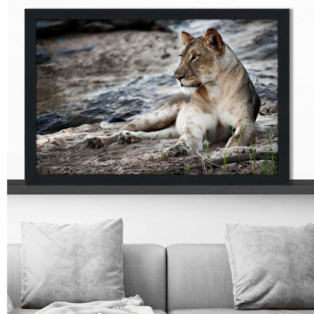 Stylish Afternoon Pose Horizontal Acrylic Print - Perfect for Home Decor, Office Wall Art & Modern Interior Design