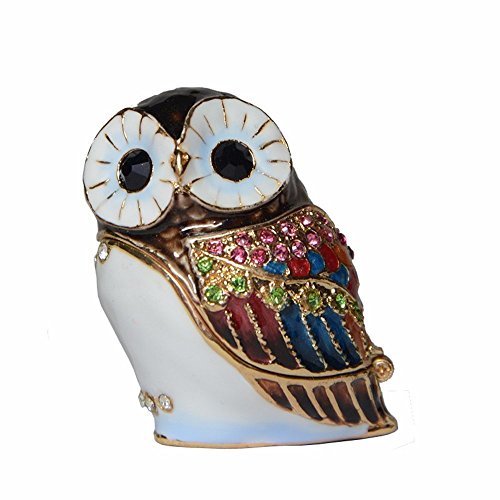 Cute Owl