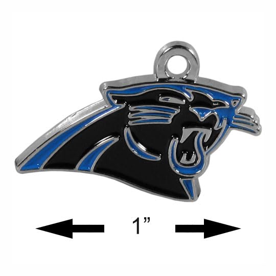 Carolina Panthers NFL Team Color Chain Necklace with Small Charm - 22 Inch Sports Fan Jewelry for Game Day & Tailgating