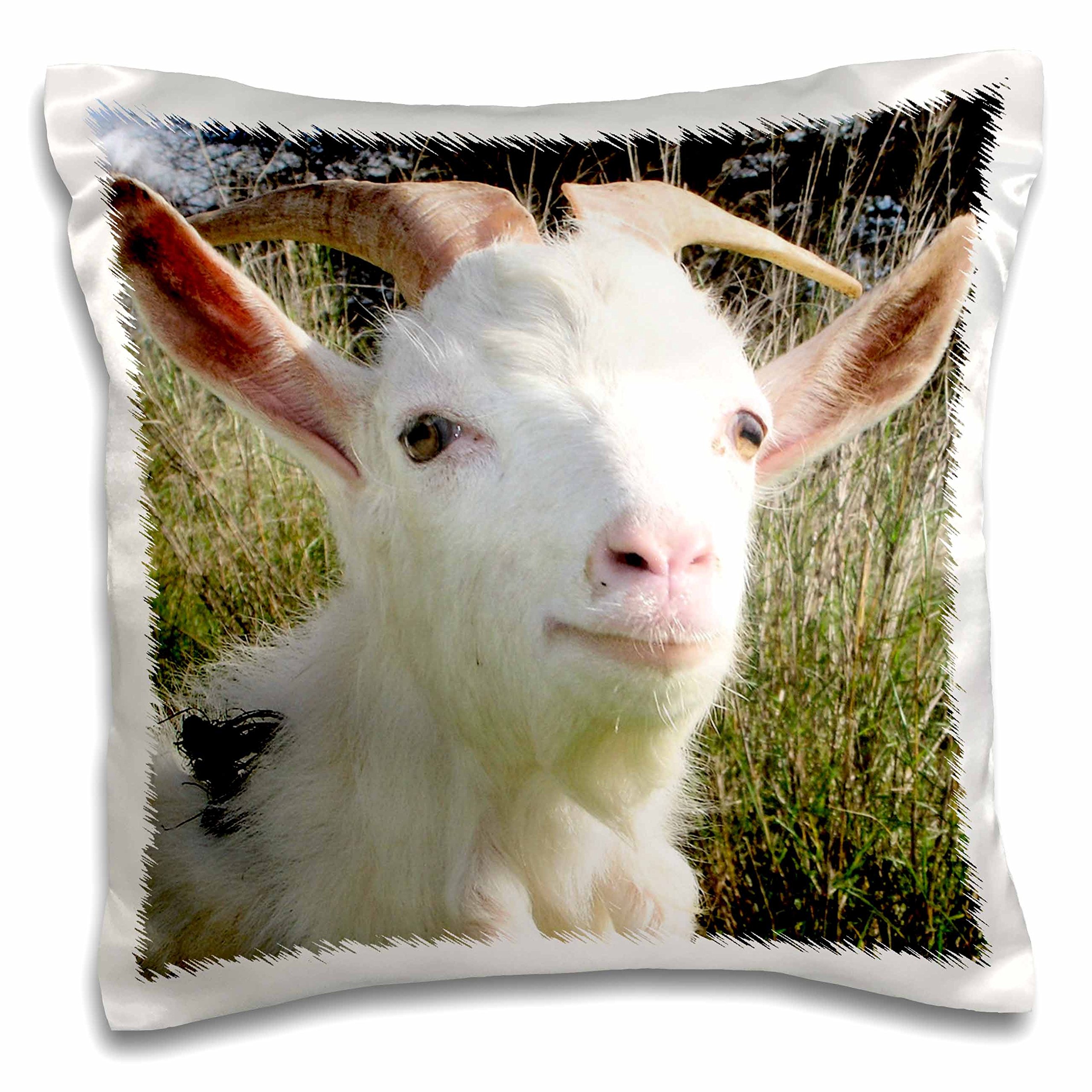 3D Rose The Lonely Goat Farm Animal Pillow Case - 16x16 Inch Farmhouse Decor, Cute Billy Goat Herd Design - Perfect for Living Room, Bedroom & Nursery Decor