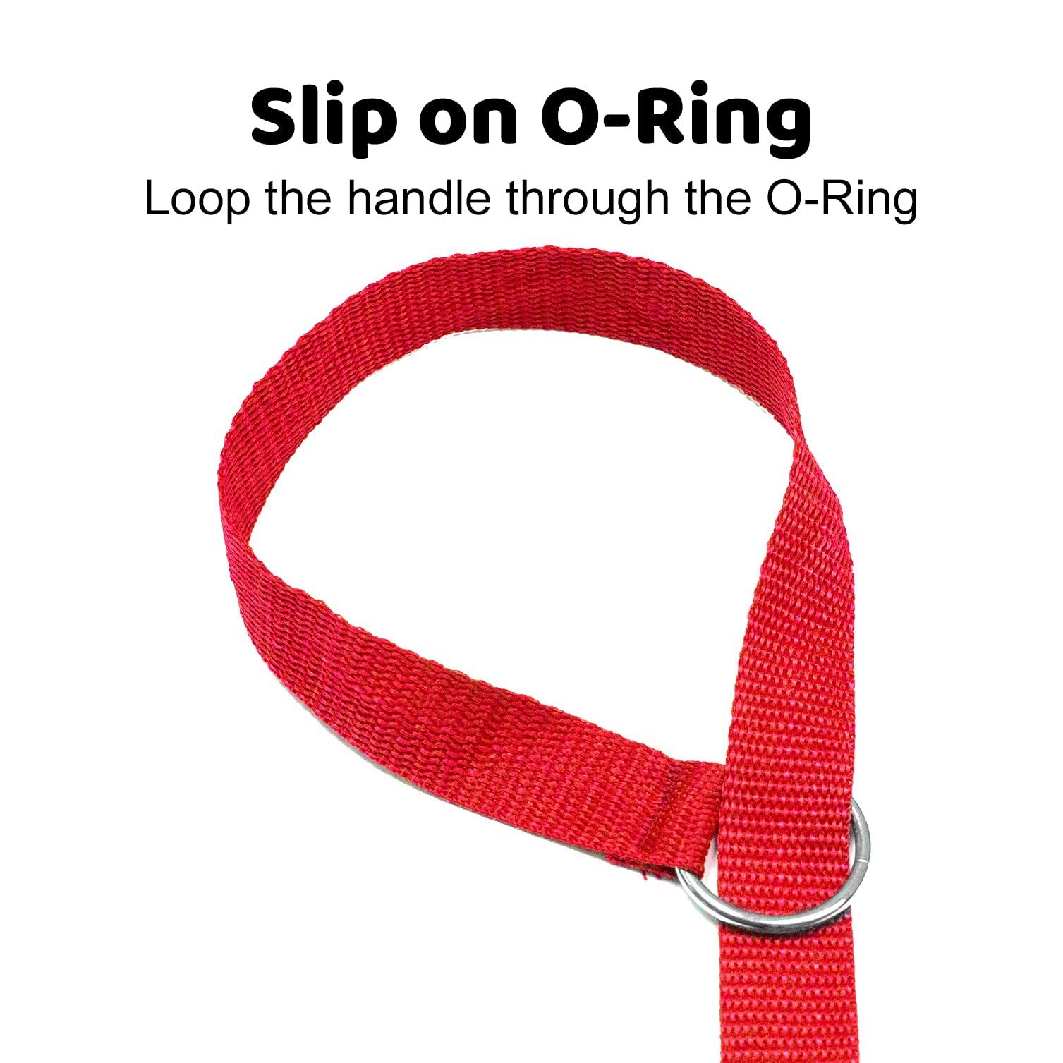 6FT Dog Kennel Slip Lead Leash - 1