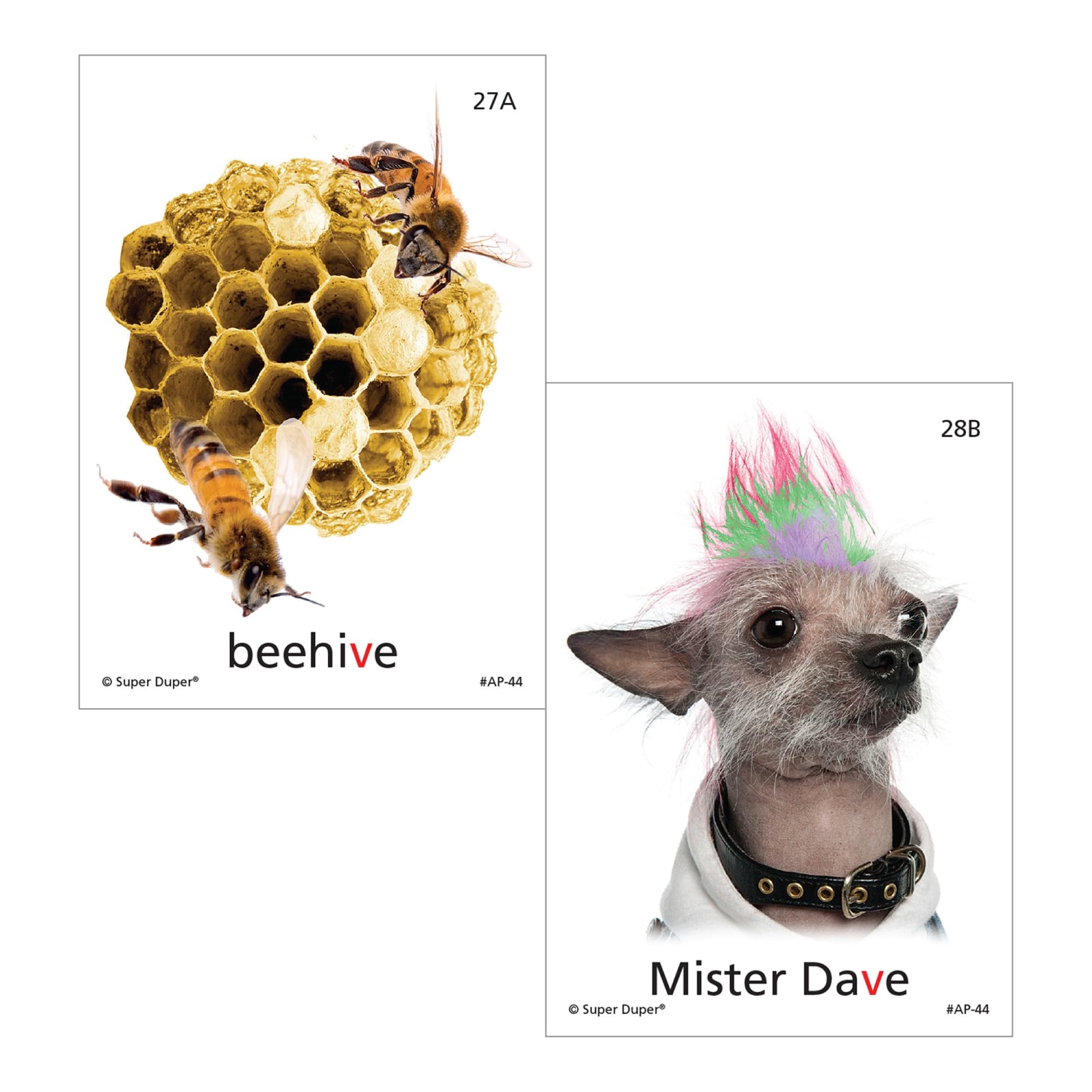 Super Duper Publications Articulation Photos V Fun Deck Flash Cards - Speech Therapy Learning Games for Kids | Classroom & Homeschool Educational Activities
