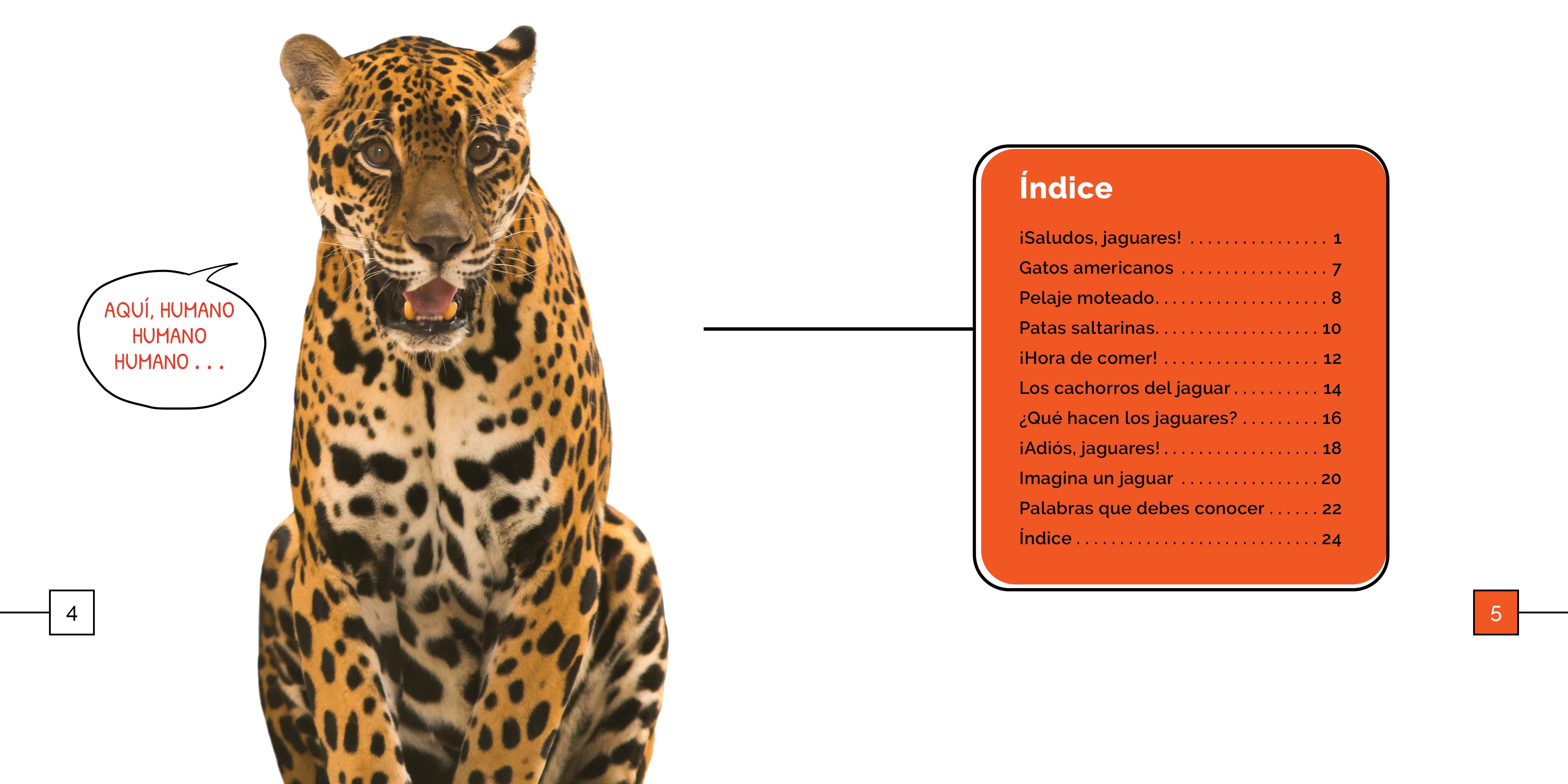 Los Jaguares Maravillas - Premium Handmade Jaguar-Themed Jewelry for Women | Perfect for Gifts, Parties, and Special Occasions