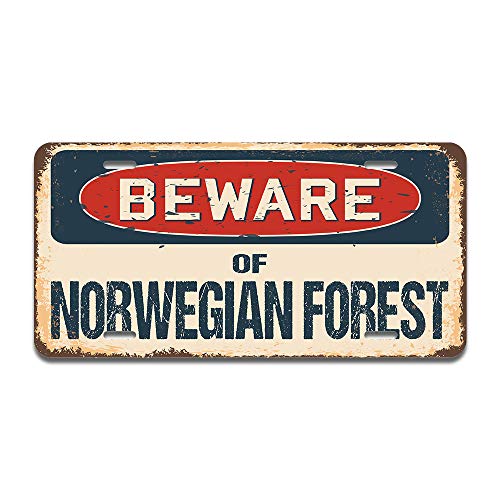 Beware of Norwegian Forest