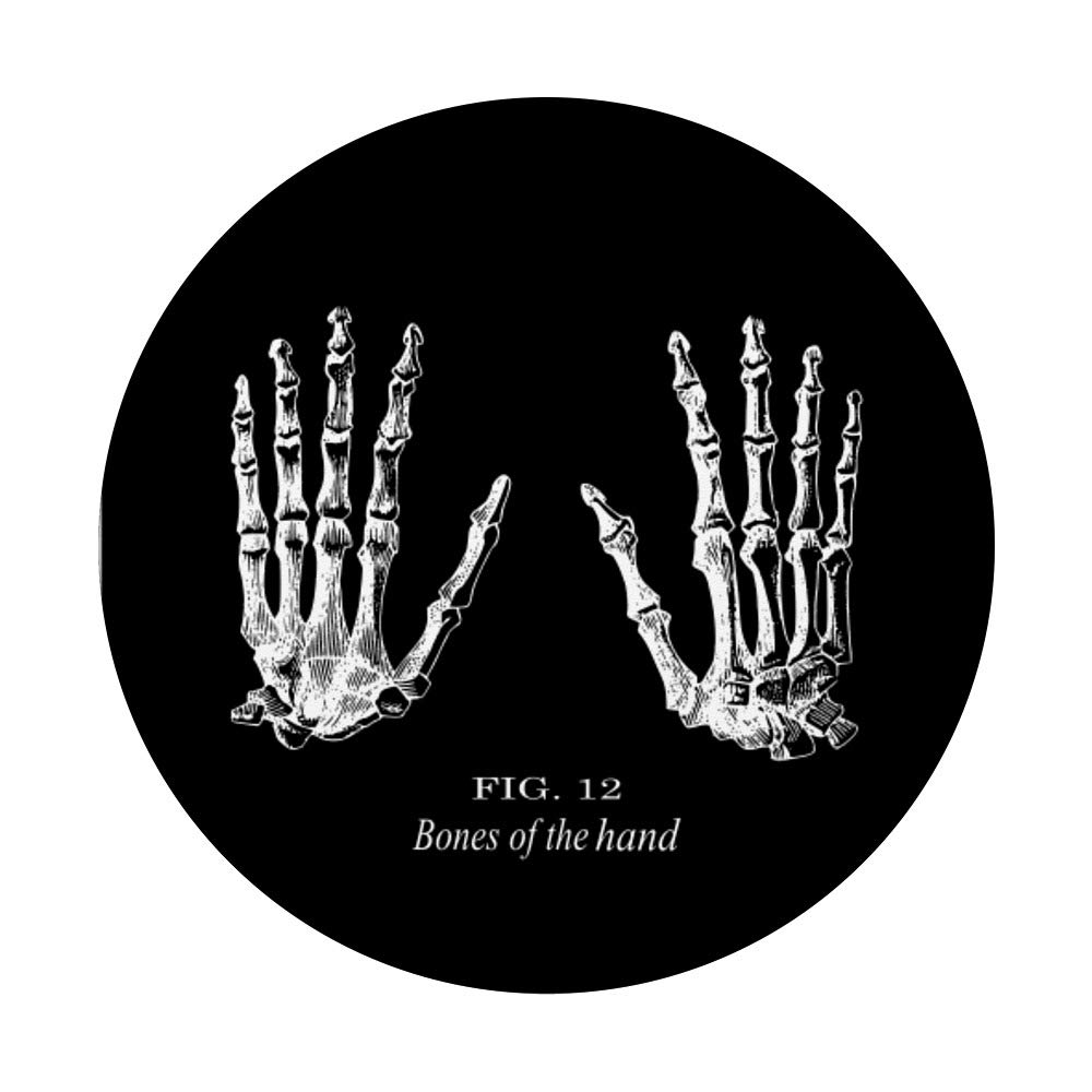 Human Hand Bones Anatomy Model - Medical Skeleton Hand for Students, Doctors & Science Education - Perfect for Classroom, Lab & Study Use