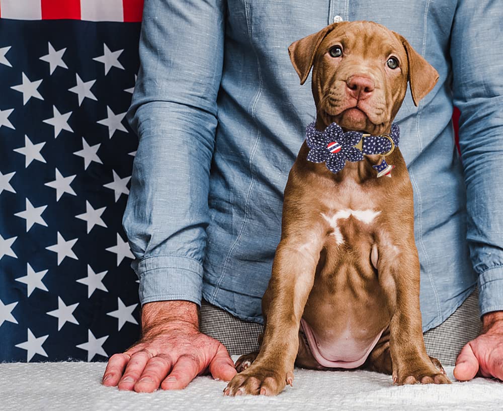 DOGWONG Patriotic American Flag Dog Collar with Flower Design - Comfortable & Durable Fourth of July, Memorial Day Pet Collar for Small, Medium & Large Dogs - Perfect for Independence Day Celebrations & Outdoor Adventures