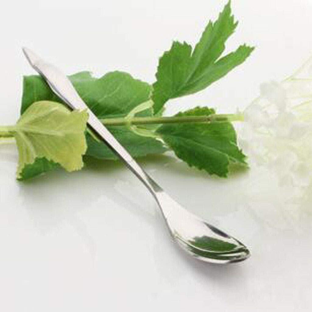 Premium PRAV® Penguin Coffee Dessert Ladle Soup Spoon - 5
