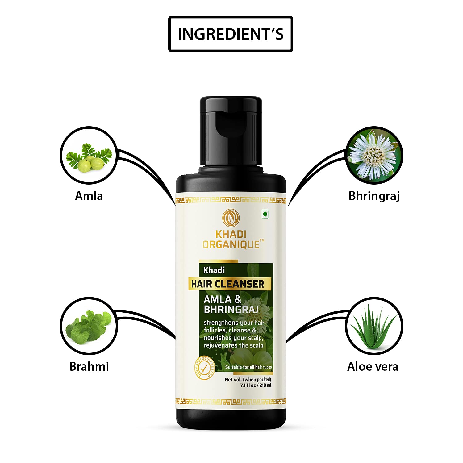 Khadi Organique Amla Bhringraj Hair Shampoo for Hair Fall & Dandruff Control - 2 Pack | Natural Ayurvedic Shampoo for Stronger Hair & Scalp Health | Perfect for Daily Hair Care & Dry Scalp Treatment