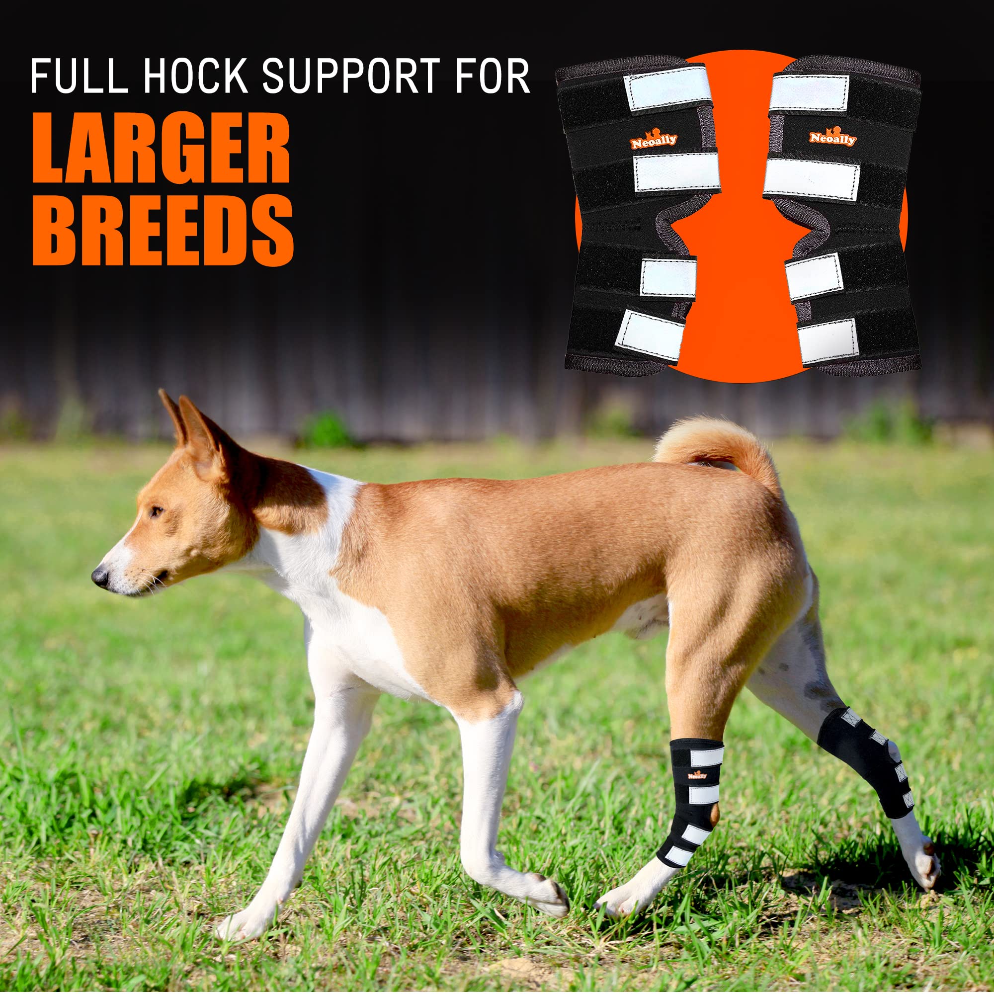NeoAlly® Dog Rear Leg Hock Brace - Support for Large Dogs with Torn ACL/CCL, Ankle & Joint Protection - Long Version Medium (1 Pair) - Ideal for Post-Surgery Recovery & Active Dogs