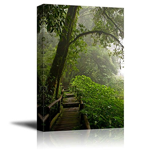 Doi Inthanon Are Rainforest