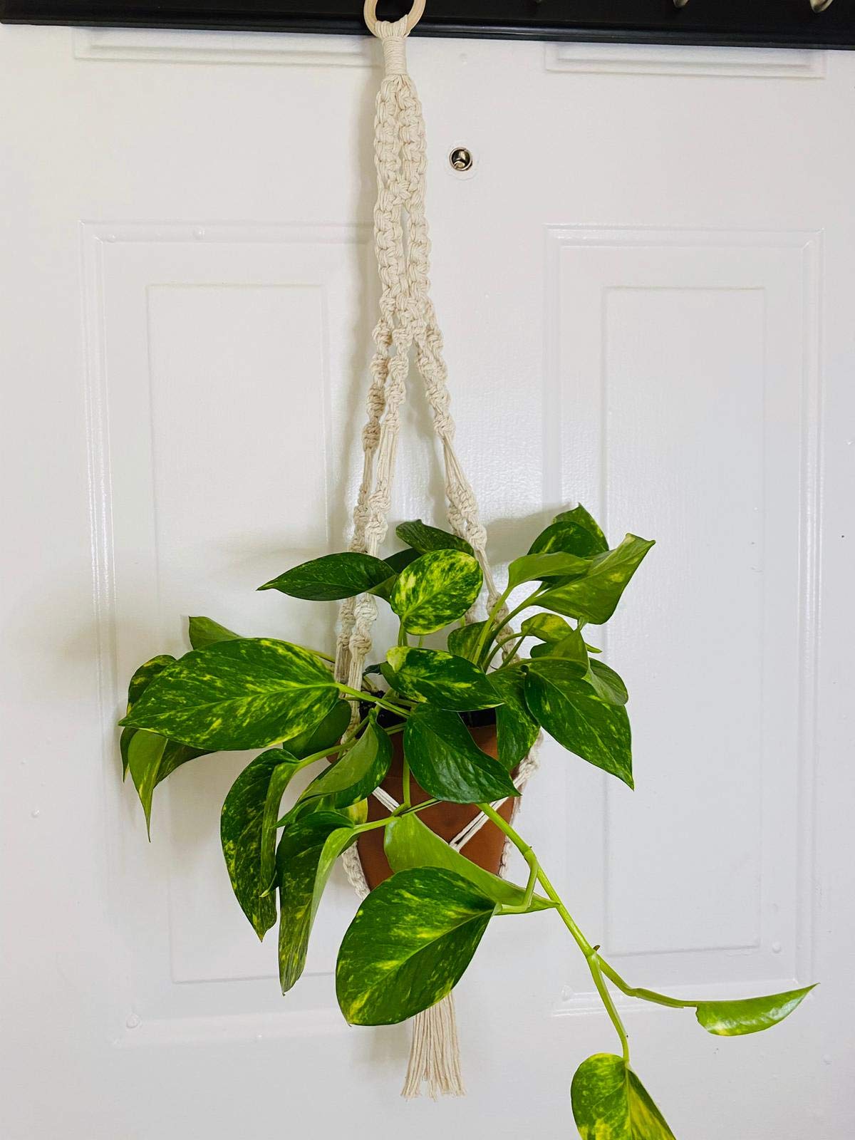 Handmade Macrame Plant Hanger for Indoor & Outdoor Decor - Boho Wall Hanging Planter for Home, Garden, Balcony, and Patio
