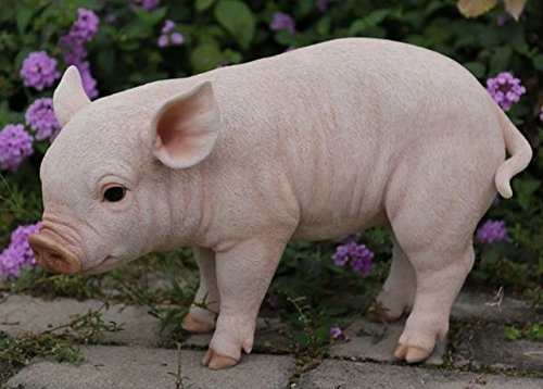 Hi-Line Gift 87726-A Standing Baby Pig Statue - 14.75 x 5.5 x 9 Inch Cute Pig Figurine - Perfect for Farmhouse Decor, Garden Ornament, and Pig Lover Gifts