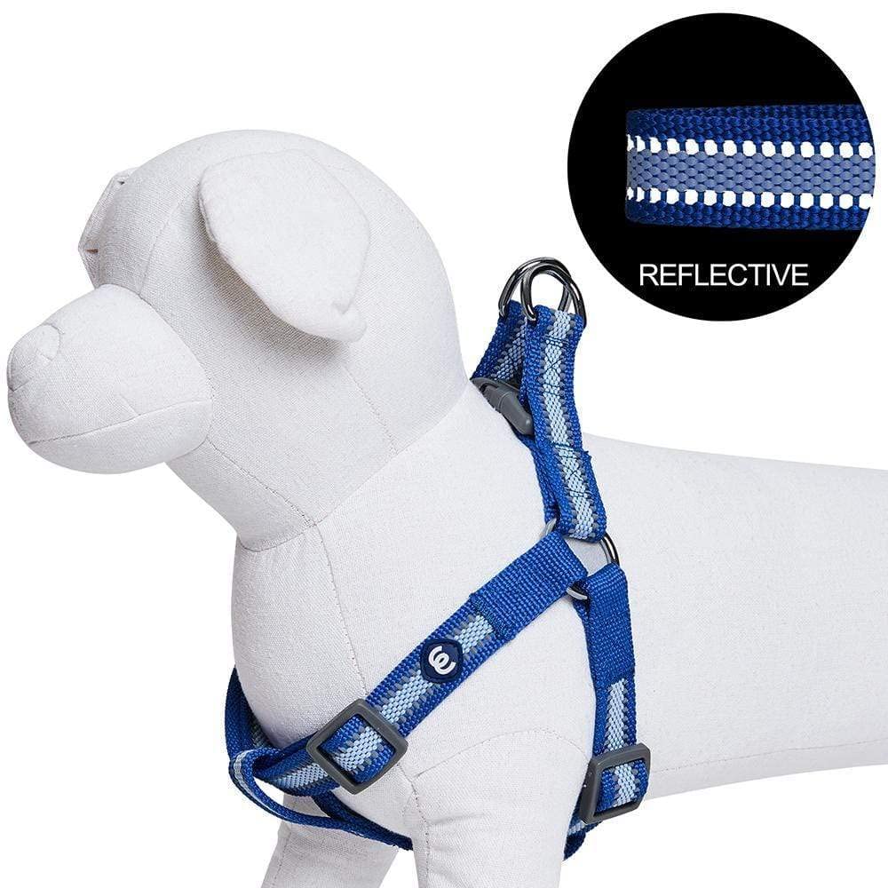 Blueberry Pet Essentials Reflective Step-in Dog Harness - Adjustable Large Size (26