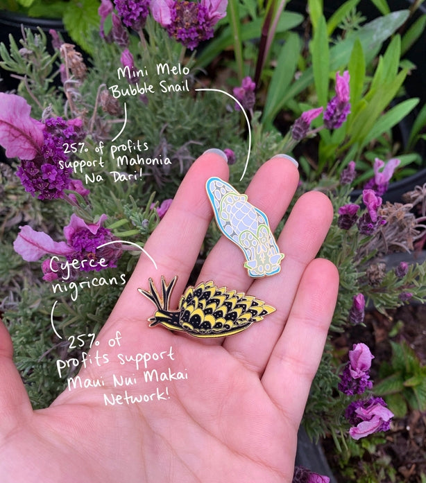 Butterfly Sea Slug Nudibranch Enamel Pin - Unique Marine Biology Collectible for Backpacks, Jackets & Hats