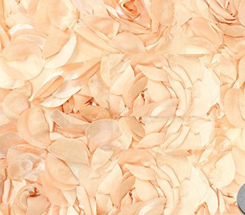 Blush Pink