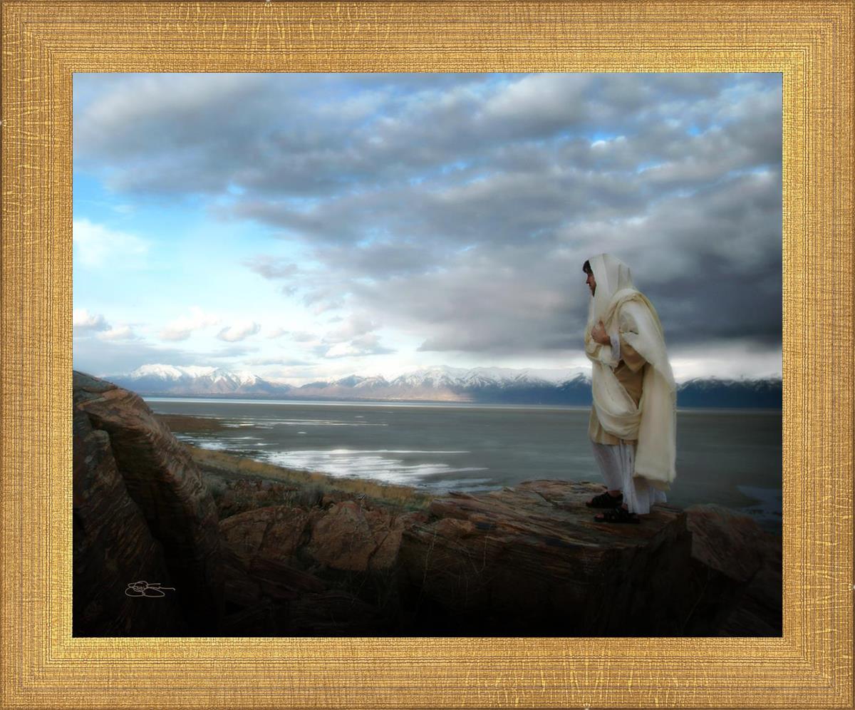 Alone Shepherd by Scott Sumner - Inspirational Book for Personal Growth & Self-Discovery | Perfect for Meditation, Gifting & Spiritual Reflection