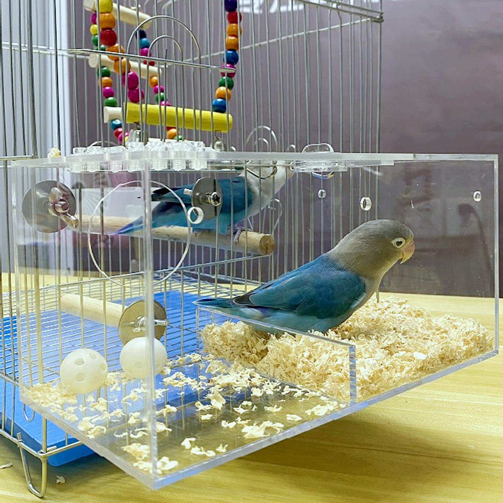 Transparent Acrylic Parakeet Breeding Box - Bird Mating Cage for Lovebirds, Cockatiels & Budgies - Perfect for Home Aviary & Bird Breeding Enclosures