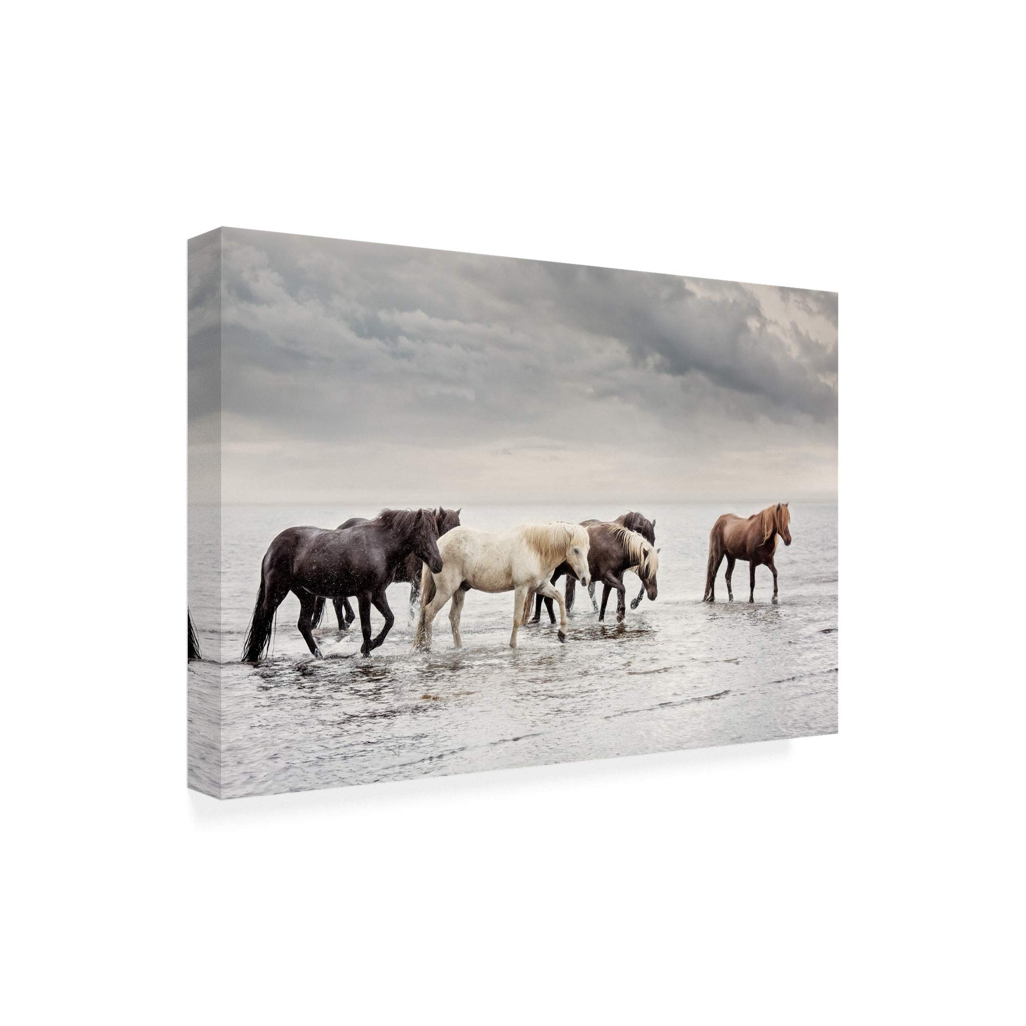 Trademark Fine Art 30x47 Water Horses IV by PHBurchett - Stunning Large Wall Art for Living Room, Bedroom & Office Decor