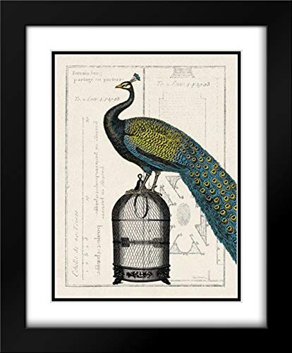 Black Modern Wood Frame with Double Matting
