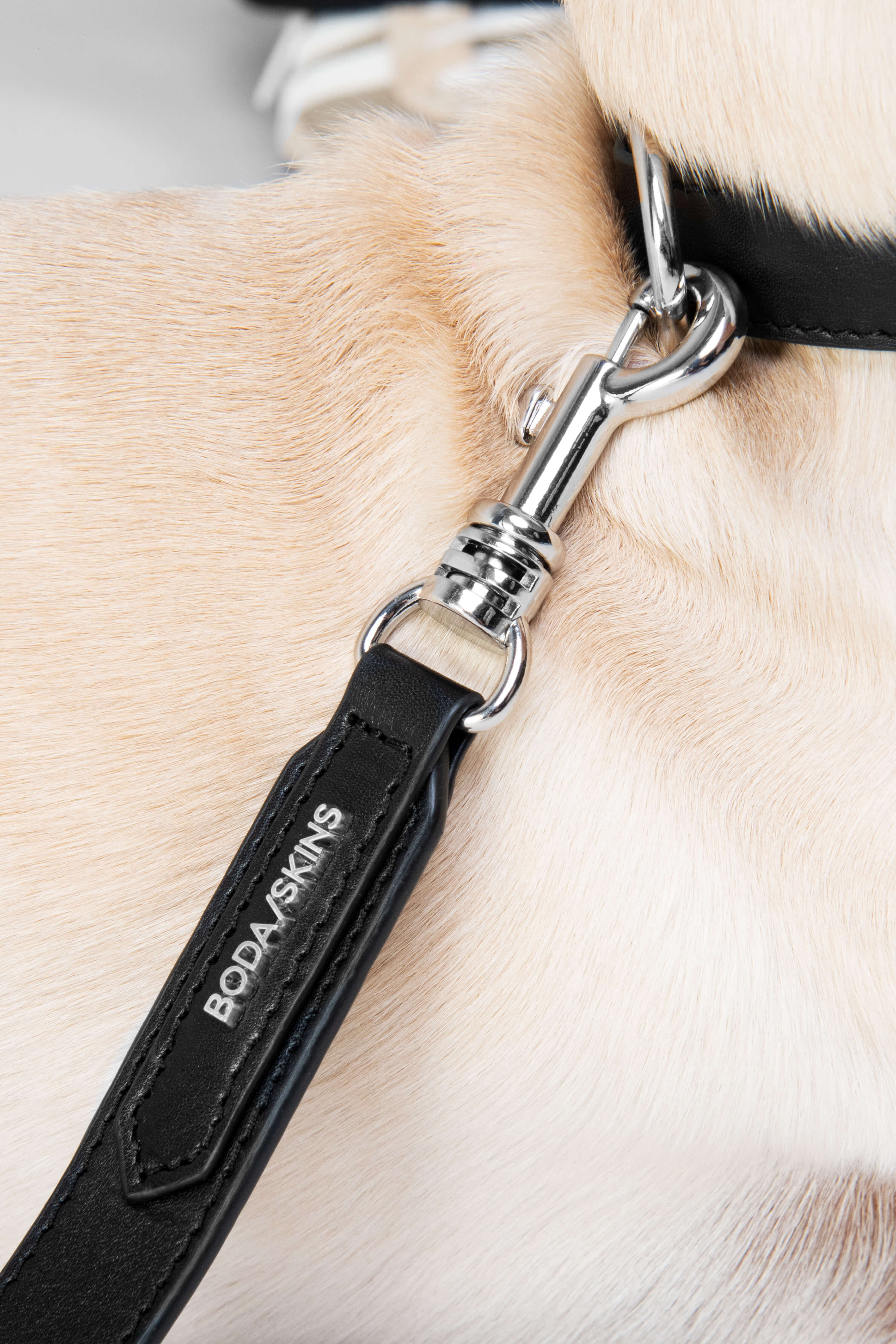 3 in 1 Dog Lead and Collar - Adjustable Nylon Leash with Comfortable Padded Handle for Small Medium Large Dogs - Perfect for Walking, Training, and Outdoor Adventures