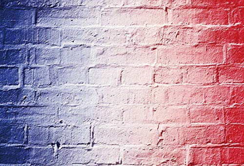 Baocicco 9x6ft Labor Day Photography Backdrop - Patriotic Stars and Stripes Wood Board with Red Stars for Birthday Parties, Photo Booth Props & Studio Shoots | Perfect for Labor Day Celebrations, Themed Parties & Professional Photography