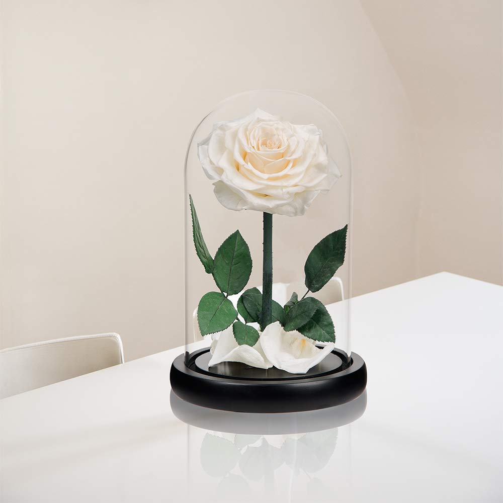 Handmade Real Preserved White Roses in Glass Dome - Never Wither Romantic Gift for Her, Mother's Day, Birthday, Anniversary - Perfect for Home Decor, Wedding Centerpieces & Special Occasions (9 inch)