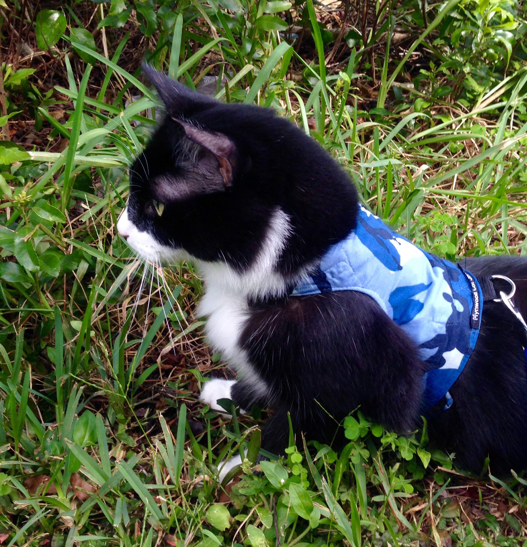 Mynwood Blue Combat Cat Jacket & Harness for Adult Cats - Escape Proof, Durable Outdoor Walking Gear for Adventurous Felines