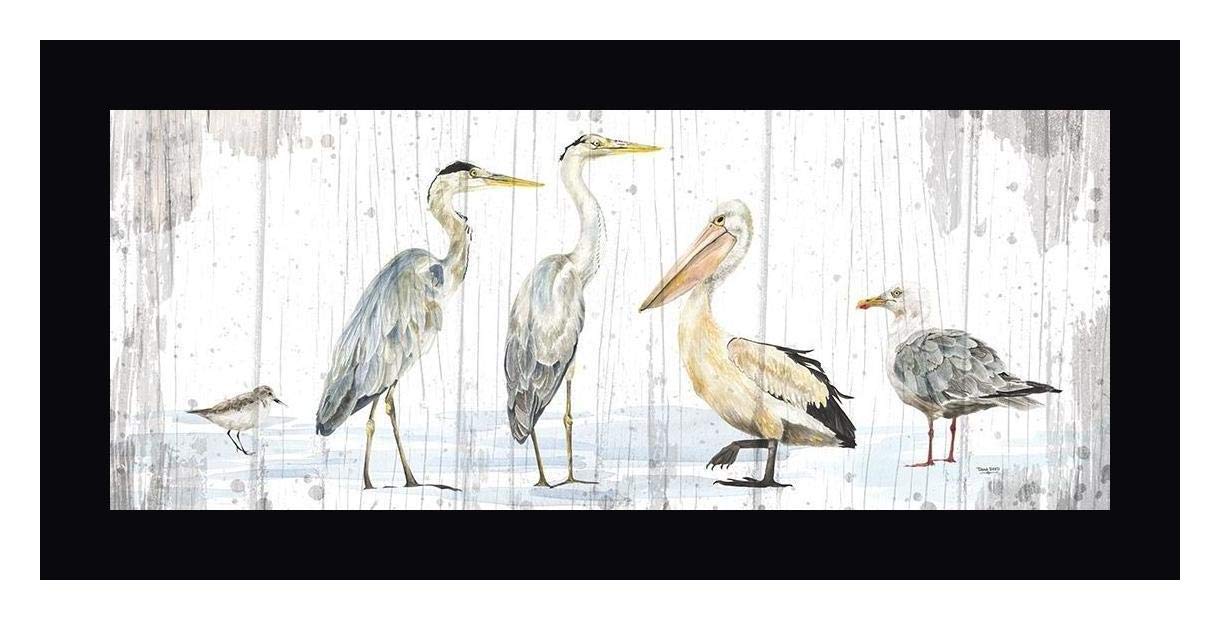 Birds of the Coast Rustic Wall Art by Tara Reed - 17x36 Inch Framed Canvas Print with Black Wood Frame - Ready to Hang - Perfect for Living Room, Bedroom or Office Decor