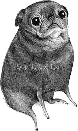 Sweet Black Pug Sticker - Waterproof Vinyl Decal for Cars, Trucks, Laptops, Windows & Walls - Cute Dog Lover Gift for Home, Office & Vehicle Decor