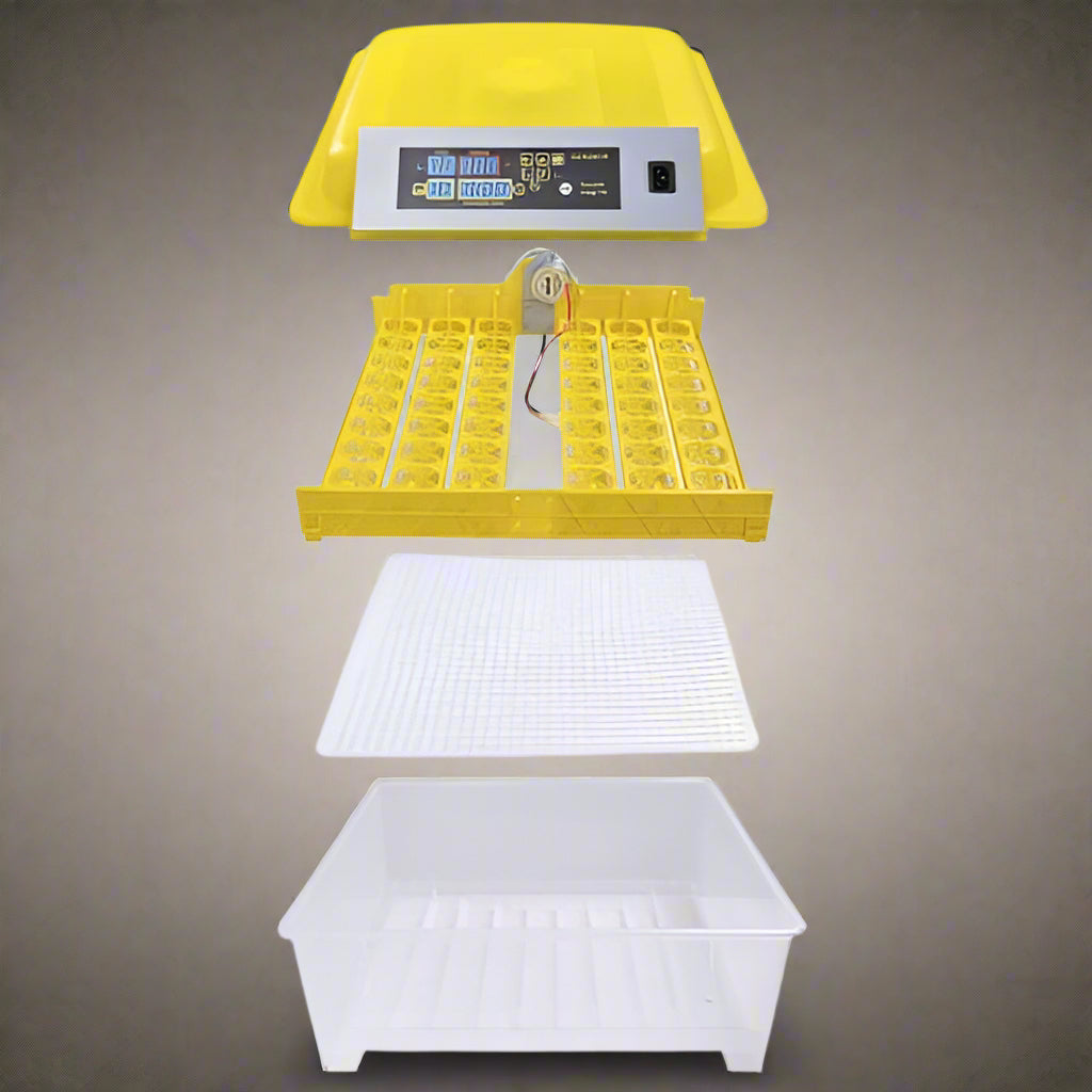 48 Egg Digital Incubator & Hatcher - Automatic Temperature Control & Egg Turner for Poultry, Chicken, Duck, Quail Eggs | Perfect for Home Farming, Hatching Projects & Educational Use | SKU: 48INC
