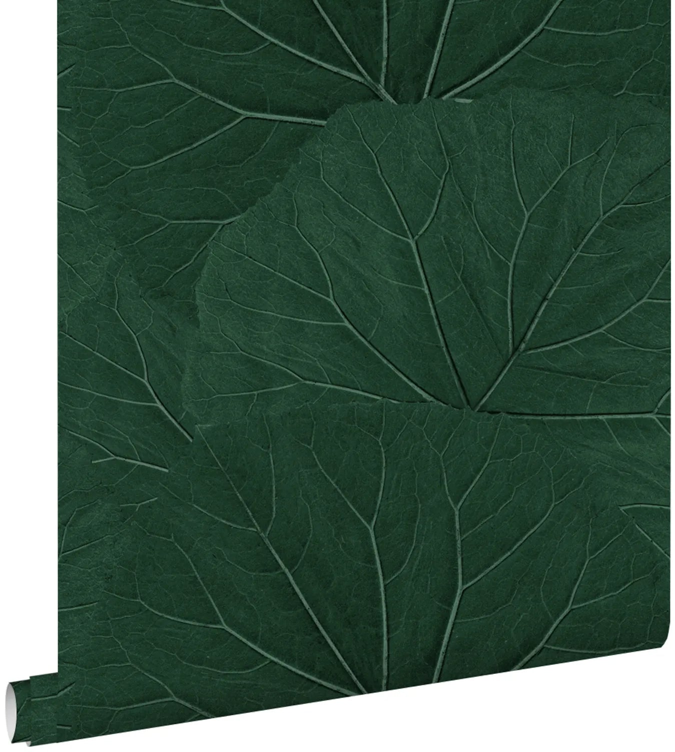 Jungle Fever Lush Harmony - Exotic Tropical Home Decor for Boho & Jungle Theme Rooms | Perfect for Living Room, Bedroom, or Office Decor