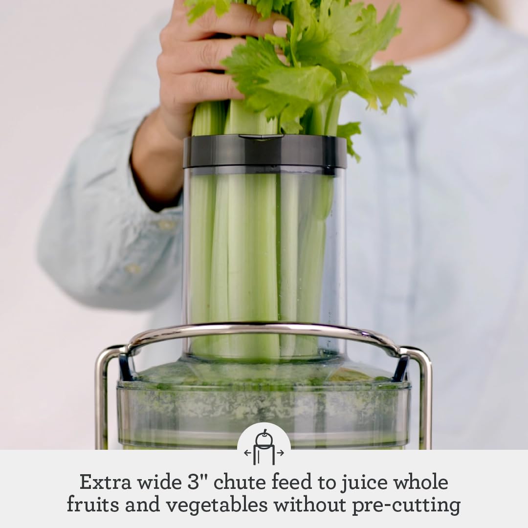 Breville RM-BJE430SIL Juicer Machine - Brushed Stainless Steel Cold Press Slow Juicer for Fruits & Vegetables (Renewed) | Perfect for Healthy Smoothies, Detox Drinks & Fresh Juice at Home