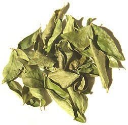 Premium Dried Curry Leaves 50g - Extra Large Bag | Authentic Indian Spice & Seasoning | High-Quality for Cooking, Curry, Soups & Ayurvedic Recipes