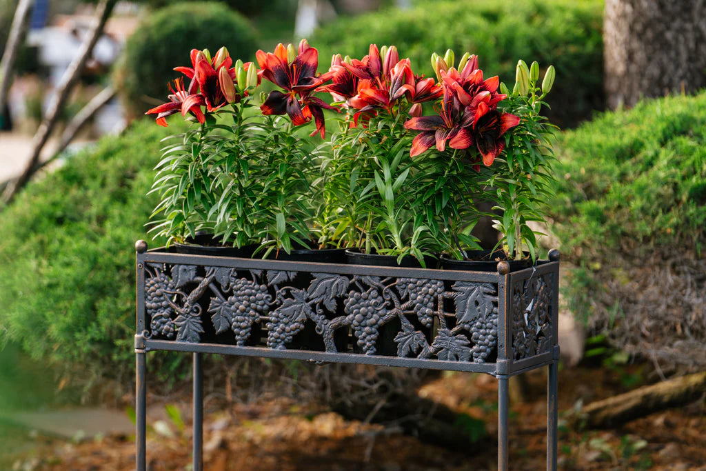 Outdoor Grape Flower Box Stand - Rustic Wooden Planter for Garden, Patio & Balcony Decor | Perfect for Vine Plants, Climbing Flowers & Decorative Greenery