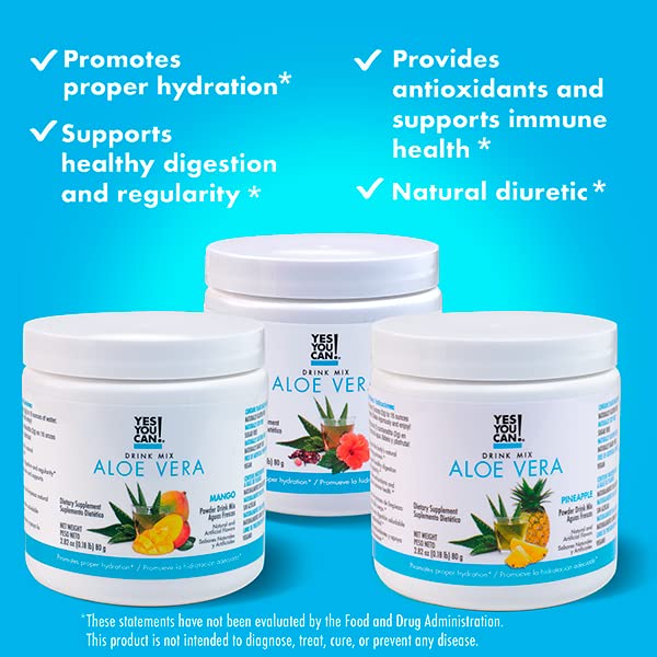 Yes You Can! Detox Plus Kit - Meal Replacement Shake (Dulce de Leche & Aloe Vera Mango Flavors) | High Protein Powder, Energy Booster & Aloe Detox Supplement for Weight Loss & Wellness | Perfect for Busy Professionals, Gym Lovers & Healthy Lifestyle