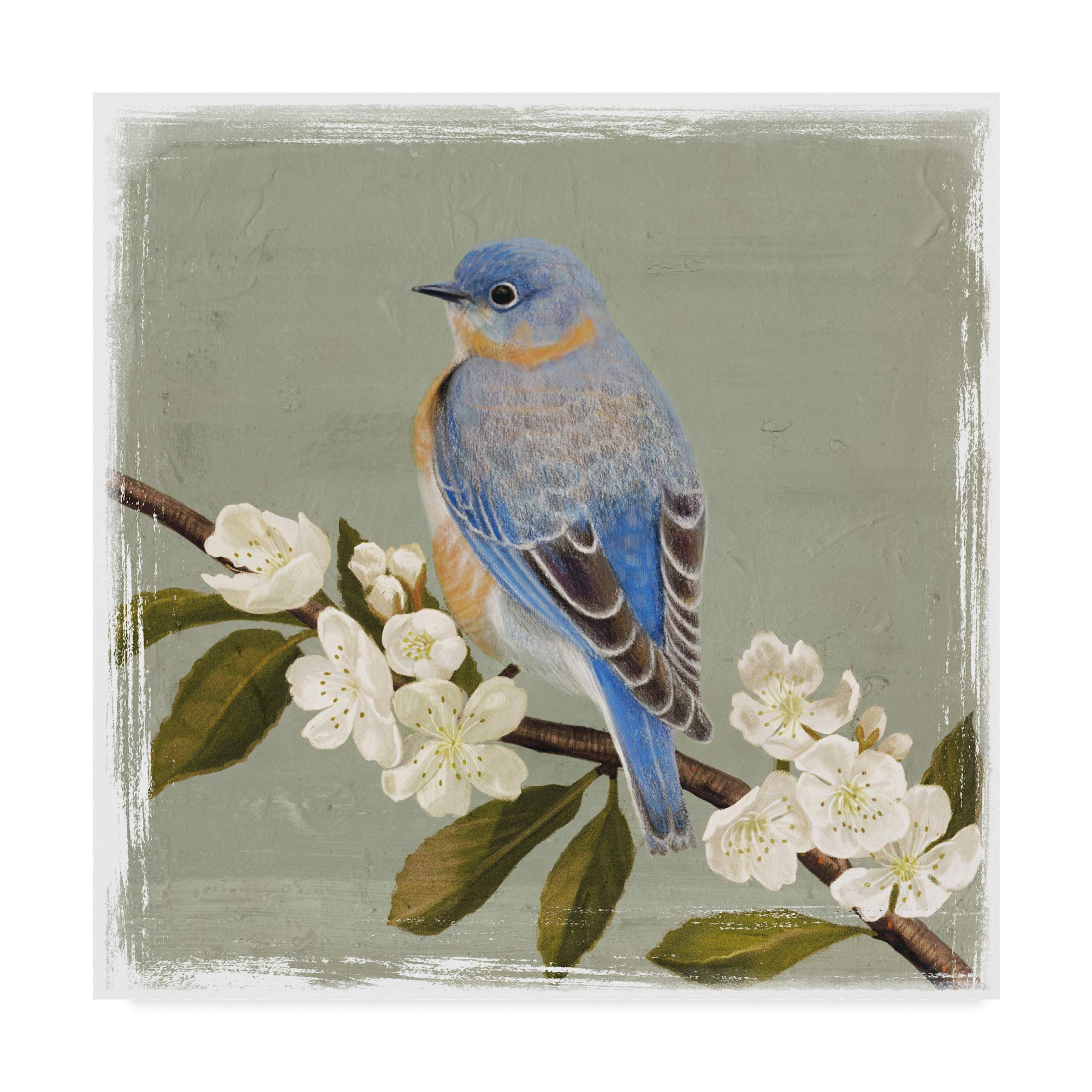 Victoria Borges Bluebird Branch II Fine Art Print - 18x18 Inch Wall Decor for Living Room, Bedroom & Office