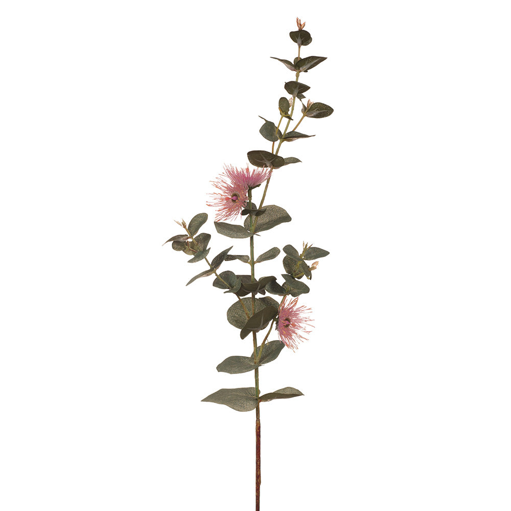 Premium Pink Eucalyptus Dollar Flower Bouquet - Fresh & Fragrant for Home Decor, Weddings, and Floral Arrangements